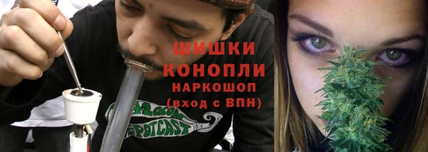 прущие грибы Гусь-Хрустальный
