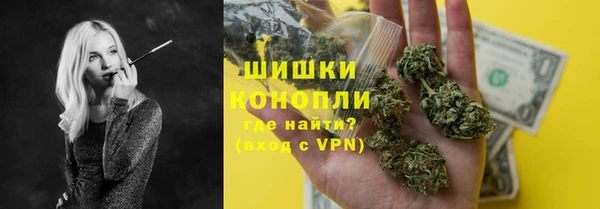 гашик Гусев