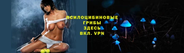 ешки Вяземский