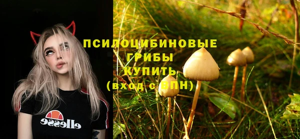 гашишное масло Горняк