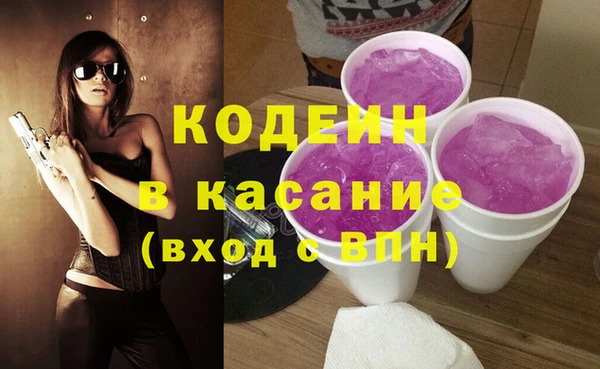 прущие грибы Гусь-Хрустальный